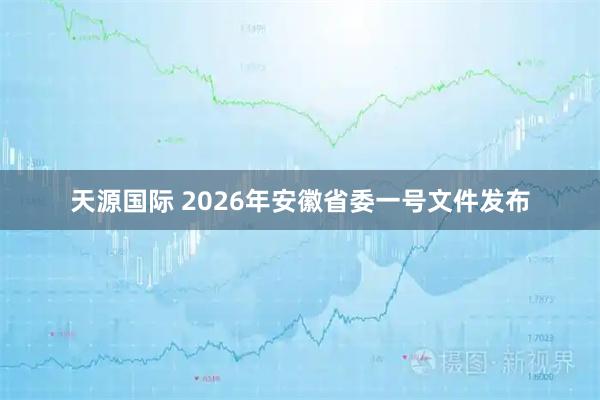 天源国际 2026年安徽省委一号文件发布