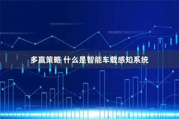 多赢策略 什么是智能车载感知系统