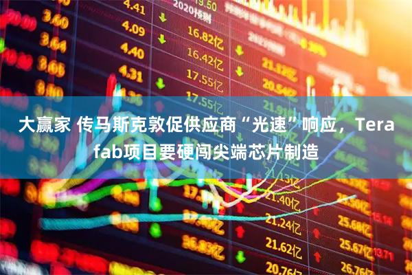 大赢家 传马斯克敦促供应商“光速”响应,Terafab项目要硬闯尖端芯片制造