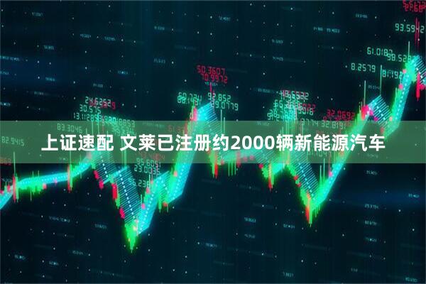 上证速配 文莱已注册约2000辆新能源汽车