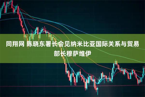 同翔网 陈晓东署长会见纳米比亚国际关系与贸易部长穆萨维伊