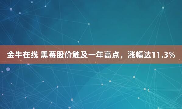 金牛在线 黑莓股价触及一年高点，涨幅达11.3%