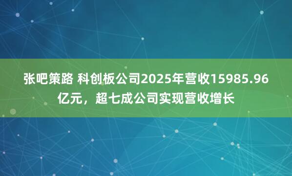 张吧策路 科创板公司2025年营收15985.96亿元,超七成公司实现营收增长