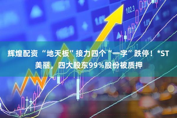 辉煌配资 “地天板”接力四个“一字”跌停！*ST美丽，四大股东99%股份被质押