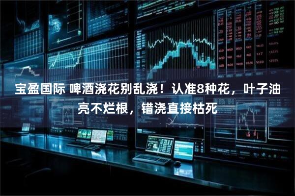 宝盈国际 啤酒浇花别乱浇!认准8种花,叶子油亮不烂根,错浇直接枯死